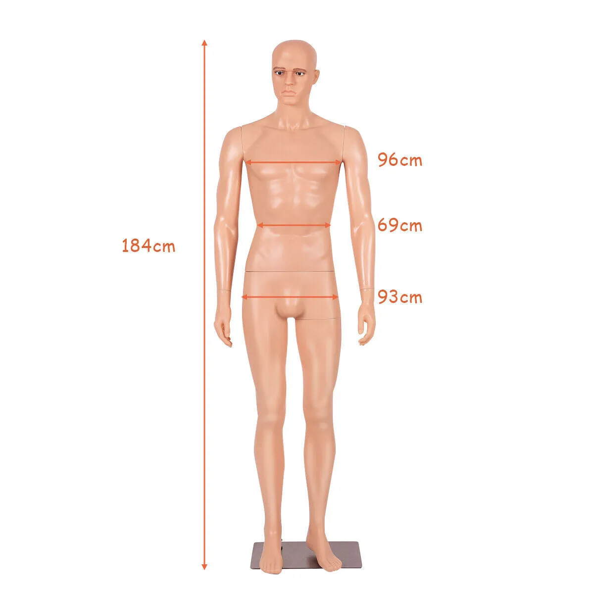 184cm Male Mannequin Full Body Manikin with Metal Base