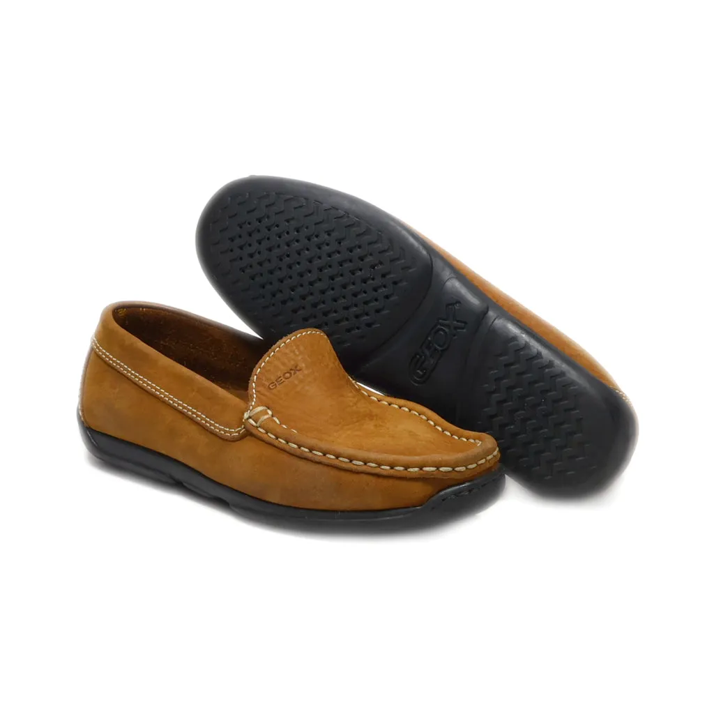 Geox Loafers Leather Brown Colour For Kids