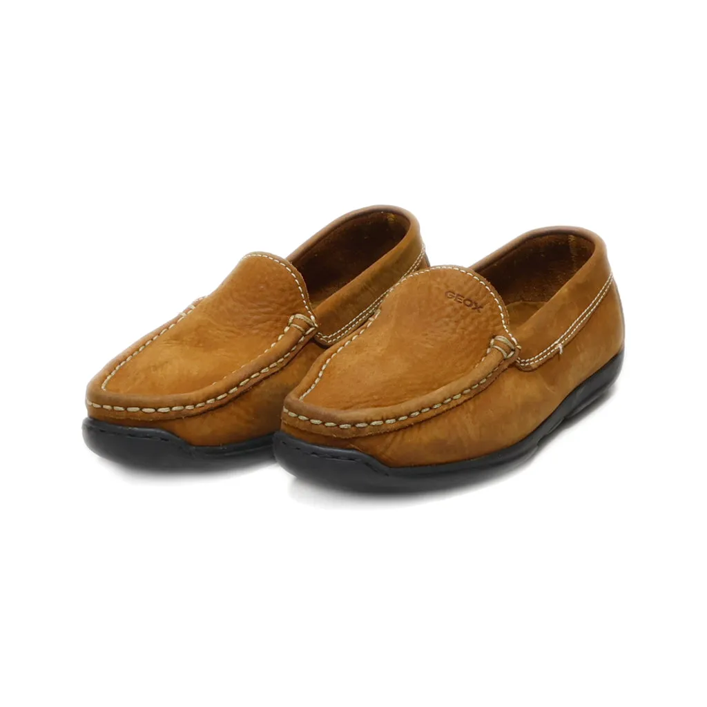 Geox Loafers Leather Brown Colour For Kids