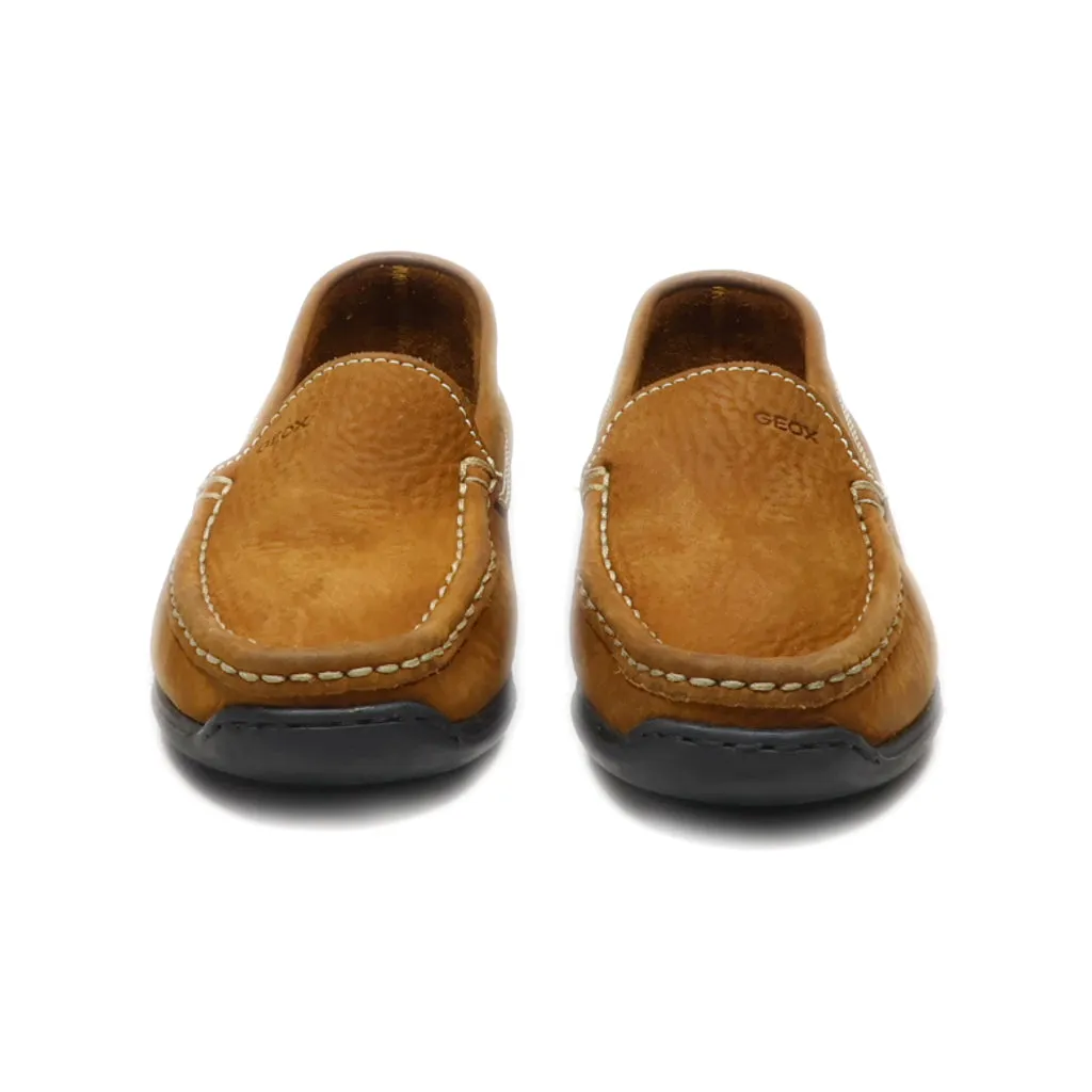 Geox Loafers Leather Brown Colour For Kids